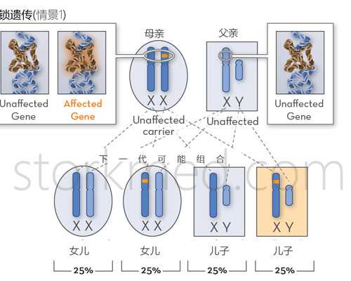 香港第三代试管婴儿多少钱，香港做试管贵吗？，同性代怀生子
